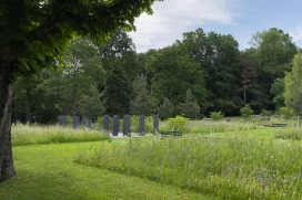 Blumenwiese um die Gemeinschaftsgräber Friedhof Schosshalde Bern